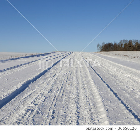 Ruts on road 36650126