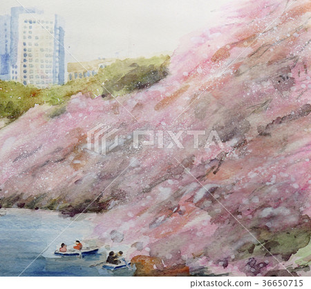 Chidorigafuchi Park櫻花東京 36650715