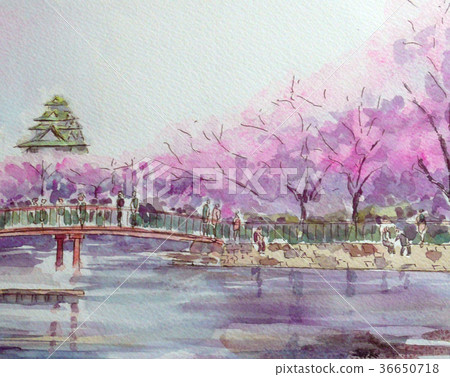 Castle and cherry blossoms Osaka castle cherry blossoms handwriting Osaka sightseeing sketch Castle and cherry blossoms Osaka castle cherry blossoms handwriting Osaka sightseeing sketch 36650718