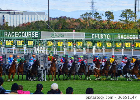 Chukyo Shisho Chukyo Shisho 36651147