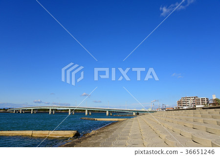 winter sea 36651246