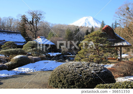 富士山與雪域風光 富士山與雪域風光 36651350