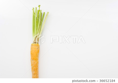 Island carrot 36652184