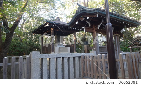 鴨川神社Masanari Toshiki 36652381