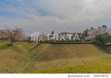 Scene of corner out of Sakura Castle ruins of spring 36654629
