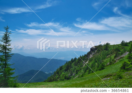 Mihigahara Takahara walking trail 36654861