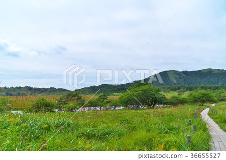 Yashima Wetland Aki Yashima Wetland Aki 36655527