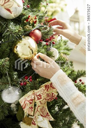 Young woman, 20s, Korean, Christmas 36655627