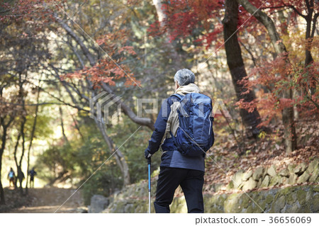 Man, korean, living Man, korean, living 36656069