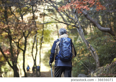 Man, korean, living Man, korean, living 36656071