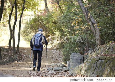 Man, korean, living Man, korean, living 36656072