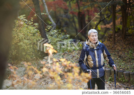 Man, korean, living Man, korean, living 36656085