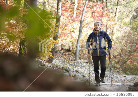 Man, korean, living Man, korean, living 36656093