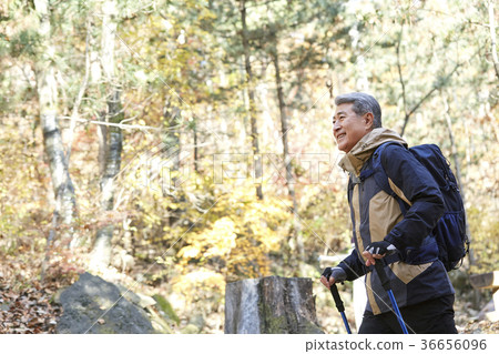 男人，韓國人，生活 36656096