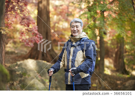Man, korean, living Man, korean, living 36656101