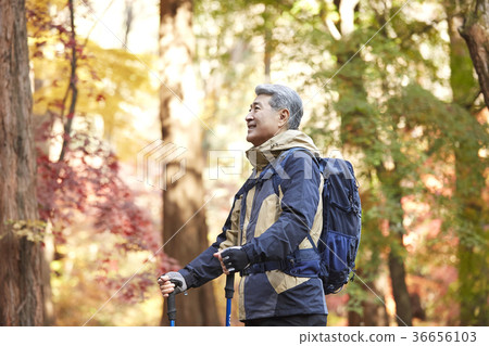 Man, korean, living Man, korean, living 36656103