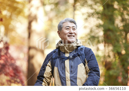 Man, korean, living Man, korean, living 36656110
