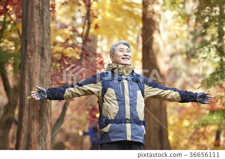 男人,韓國人,生活 男人,韓國人,生活 36656111