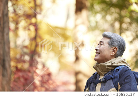 Man, korean, living Man, korean, living 36656137