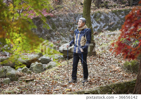Man, korean, living Man, korean, living 36656142