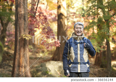 男人,韓國人,生活 男人,韓國人,生活 36656144