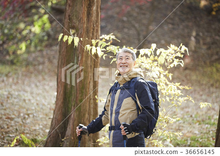 男人,韓國人,生活 男人,韓國人,生活 36656145