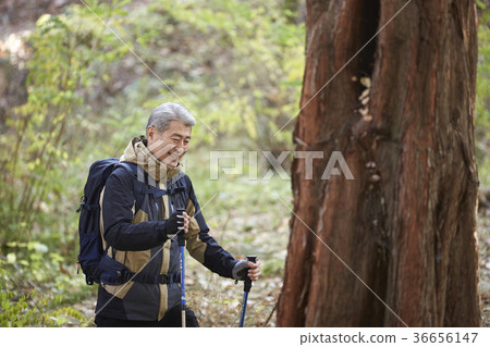 Man, korean, living Man, korean, living 36656147