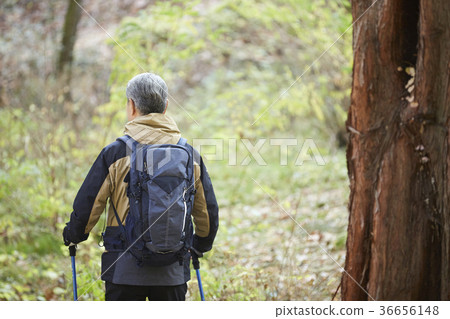 Man, korean, living Man, korean, living 36656148