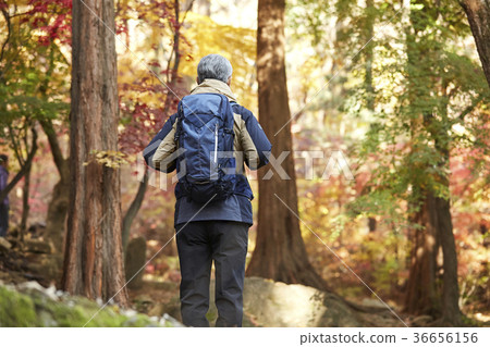 男人，韓國人，生活 36656156