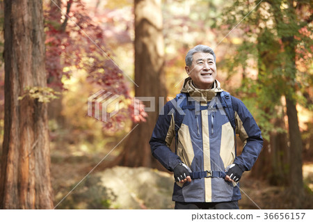 男人，韓國人，生活 36656157