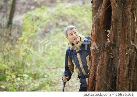 Man, korean, living Man, korean, living 36656161