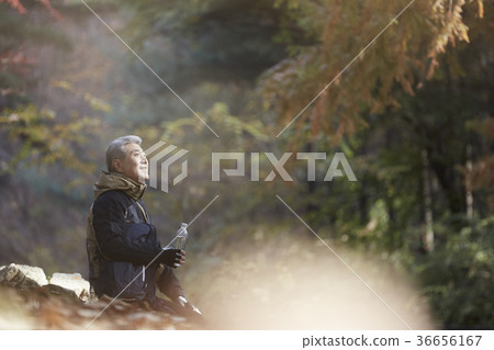 男人,韓國人,生活 男人,韓國人,生活 36656167