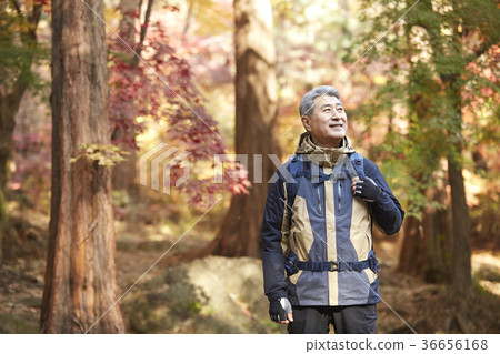 男人，韓國人，生活 36656168