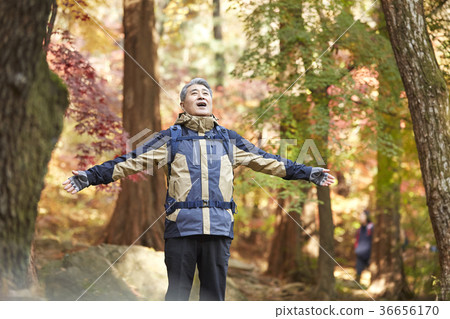 男人，韓國人，生活 36656170