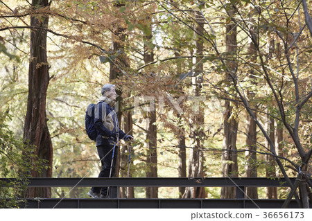 男人，韓國人，生活 36656173