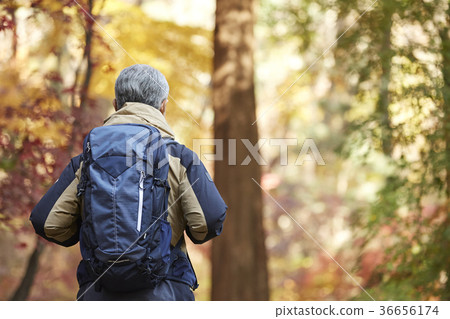 男人，韓國人，生活 36656174