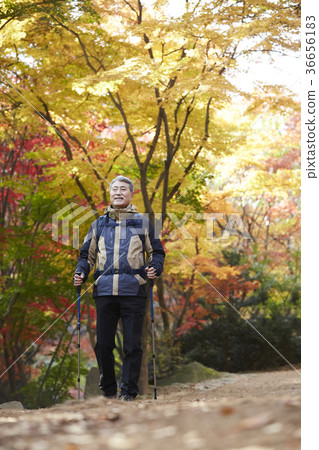 男人,韓國人,生活 男人,韓國人,生活 36656183