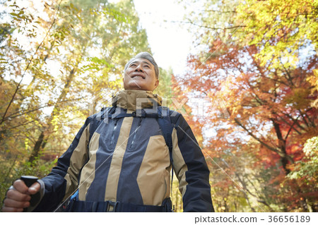 Man, korean, living Man, korean, living 36656189