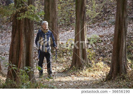 Man, korean, living Man, korean, living 36656190