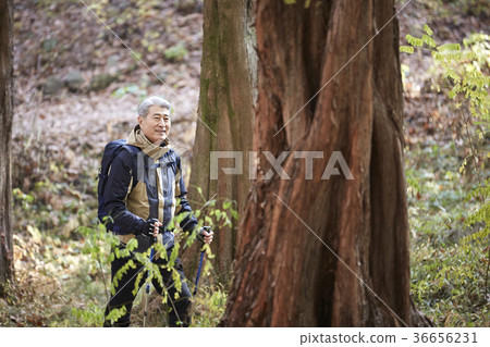 Man, korean, living Man, korean, living 36656231