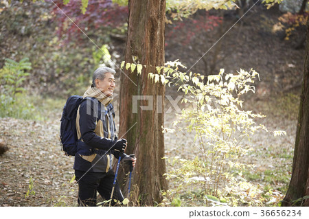 Man, korean, living Man, korean, living 36656234