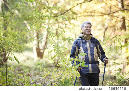 Man, korean, living Man, korean, living 36656236
