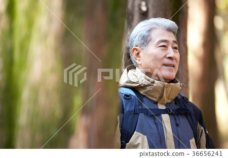 男人,韓國人,生活 男人,韓國人,生活 36656241