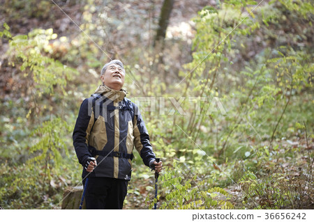男人,韓國人,生活 男人,韓國人,生活 36656242