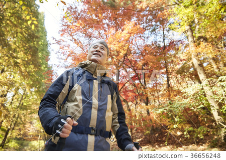 Man, korean, living Man, korean, living 36656248