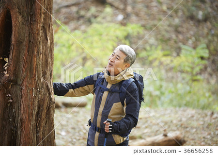 Man, korean, living Man, korean, living 36656258