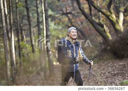 男人,韓國人,生活 男人,韓國人,生活 36656267