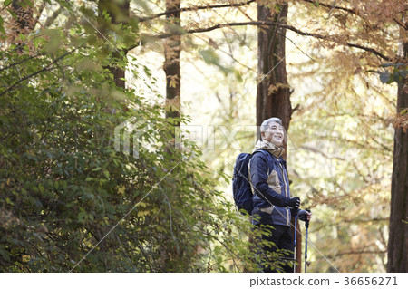 Man, korean, living Man, korean, living 36656271