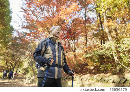 Man, korean, living Man, korean, living 36656279