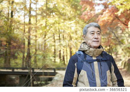男人,韓國人,生活 男人,韓國人,生活 36656321